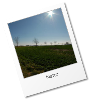 Natur